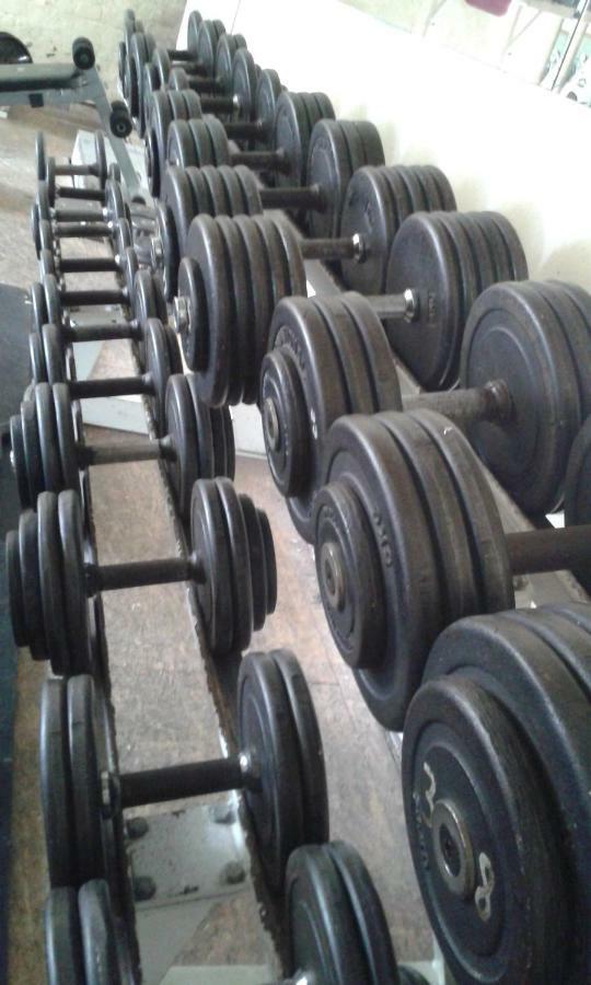 Ferienwohnung Mit Fitness Leipzig Dış mekan fotoğraf